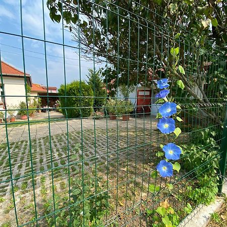 Hotel Mandula Haz à Veszprém Extérieur photo
