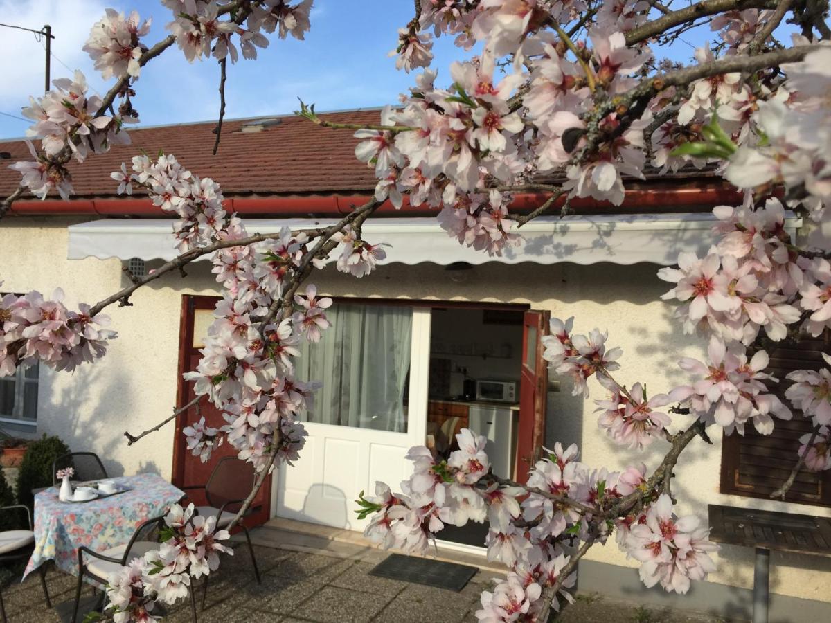 Hotel Mandula Haz à Veszprém Extérieur photo